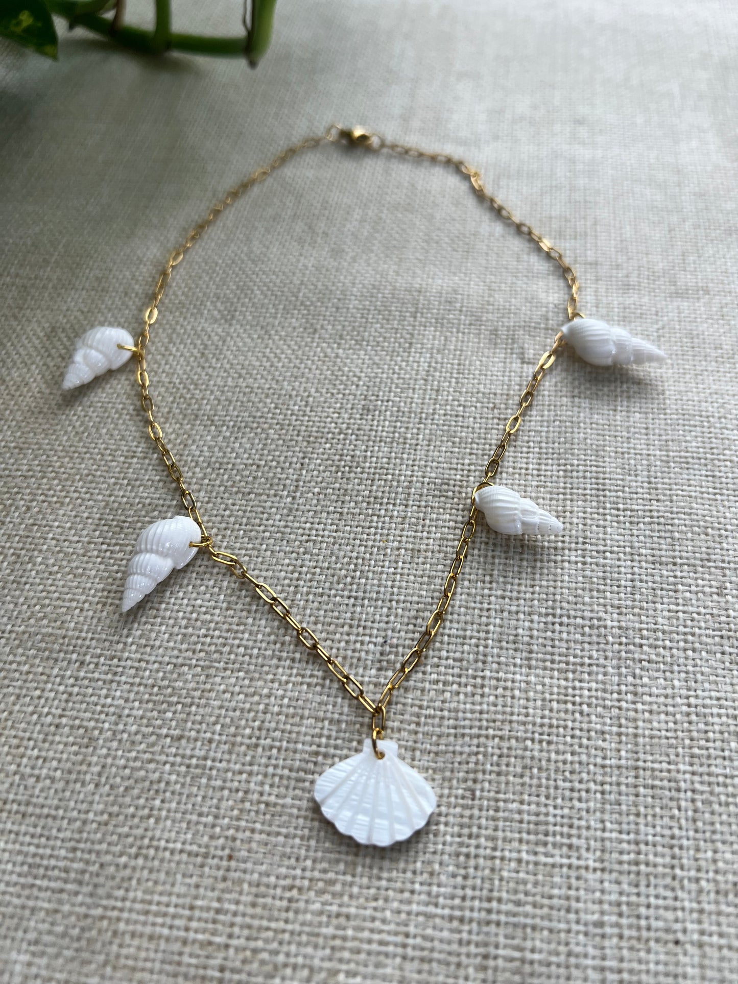 Seashell Whisperer Necklace